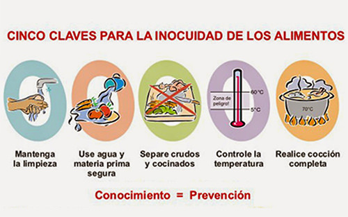 Alimentos que facilitan la evacuacion